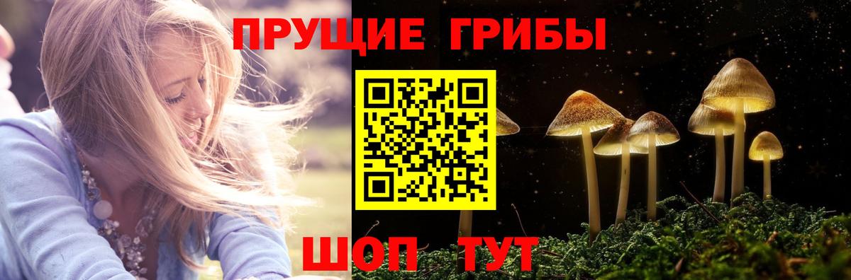 Сатка  Псилоцибиновые грибы мицелий  Вход с VPN 